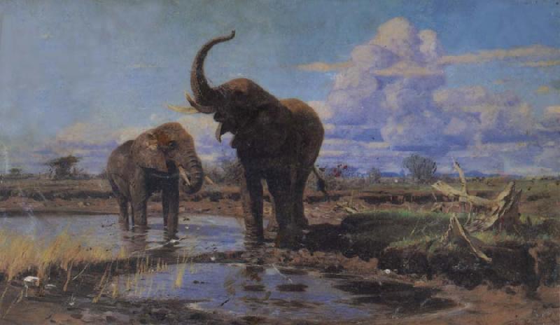 unknow artist Elephant Germany oil painting art